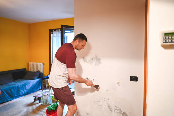 Best Health and Safety Mold Remediation in Carlyle, IL